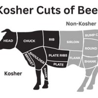 Kosher Meat Cuts Charts