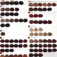 L Oréal Permanent Hair Color Chart