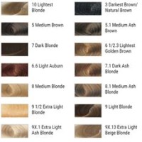 L Oréal Professional Hair Colour Chart Australia