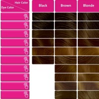 L Oreal Castings Hair Dye Colour Chart