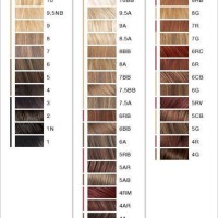 L Oreal Excellence Hair Color Chart 2021