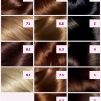 L Oreal Excellence Hair Color Shades Chart - Best Picture Of Chart ...