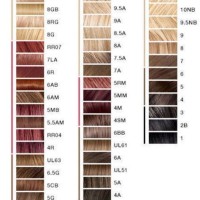 L Oreal Hair Color Chart 2020