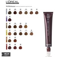 L Oreal Hi Richesse Color Chart