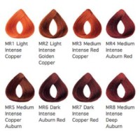 L Oreal Mega Reds Color Chart