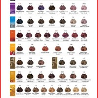 L Oreal Mousse Hair Color Chart 2020