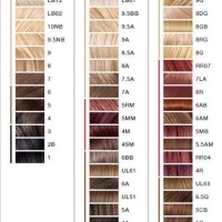 L Oreal Preference Blonde Hair Color Chart