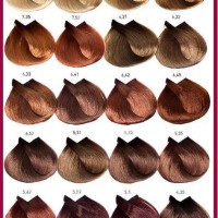 L Oreal Professional Hair Color Chart Majirel