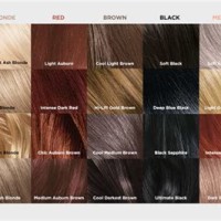 L Oreal Superior Preference Hair Colour Chart