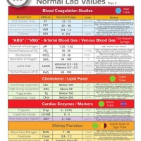 Lab Test Results Chart