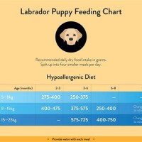 Labrador Puppy Food Chart