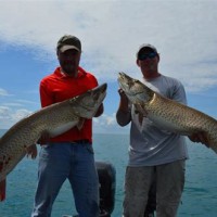 Lake St Clair Fishing Charter Harrison Township Mi