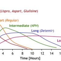 Lantus Insulin Peak Times Chart