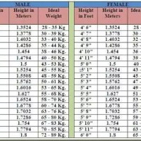 Lic Age Wise Height Weight Chart