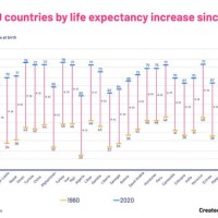 Life Expectancy By Height Chart