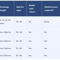 Life Insurance Policy Parison Chart