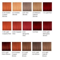 Light Auburn Hair Color Chart