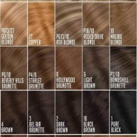 Light Brown Chart Hair Color