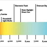 Light Bulb Spectrum Chart