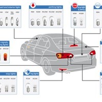 Light Bulb Types Chart Automotive