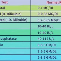 Liver Function Test Normal Range Chart Uk