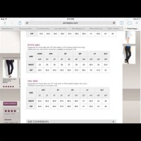 Loft Pants Size Chart