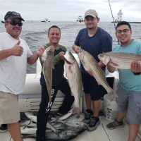 Long Island Sound Charters