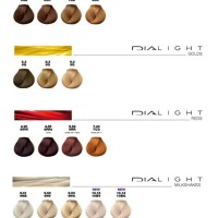 Loreal Dialight Color Chart