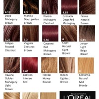 Loreal Excellence Colour Chart 2020