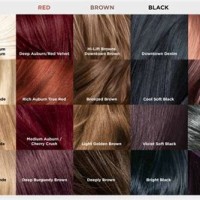 Loreal Hair Dyes Colour Chart