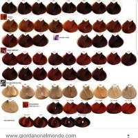 Loreal Majirel Permanent Hair Color Chart