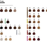 Loreal Professional Hair Color Chart Richesse