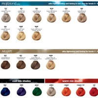 Loreal Professional Hair Colours Chart