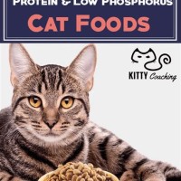 Low Phosphorus Wet Cat Food Chart