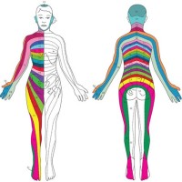 Lumbar Nerve Pain Chart