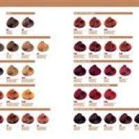 Luxury Hair Color Chart