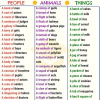 Make A Chart Of Collective Nouns