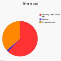 Make Your Own Pie Chart Meme