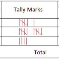 Making A Tally Frequency Chart