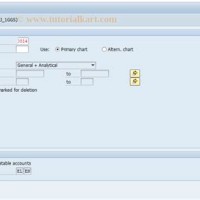 Manage Chart Of Accounts Sap Tcode