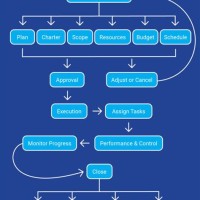 Management Flow Chart