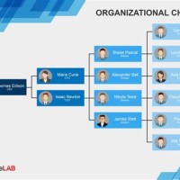 Management Hierarchy Chart Template