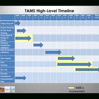 Management Timeline Chart