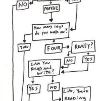 Manager Flowchart Funny