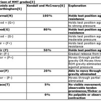 Manual Muscle Testing Chart