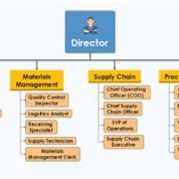 Manufacturing Pany Anizational Chart