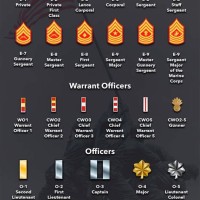 Marine Corps Ened Ranks Chart