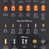 Marine Corps Officer Ranks Chart