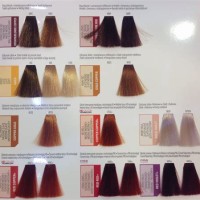 Matrix Demi Permanent Color Chart