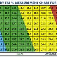 Mco Body Fat Chart